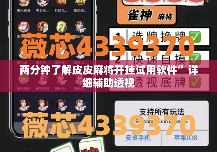 两分钟了解皮皮麻将开挂试用软件”详细辅助透视