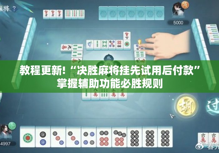 教程更新!“决胜麻将挂先试用后付款”掌握辅助功能必胜规则