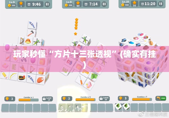 玩家秒懂“方片十三张透视”(确实有挂)