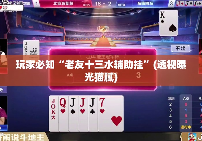 玩家必知“老友十三水辅助挂	”(透视曝光猫腻)