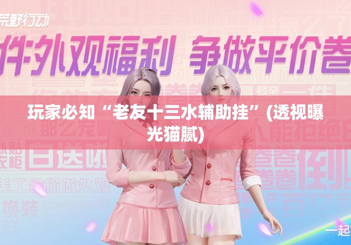 玩家必知“老友十三水辅助挂”(透视曝光猫腻)