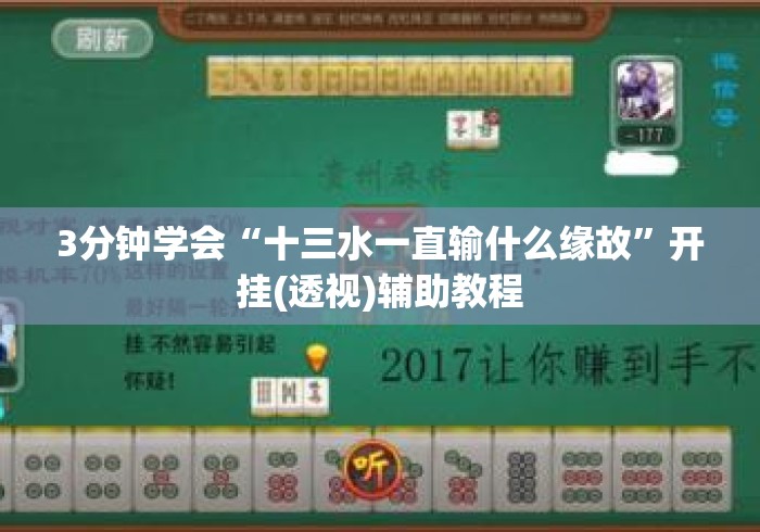 3分钟学会“十三水一直输什么缘故”开挂(透视)辅助教程