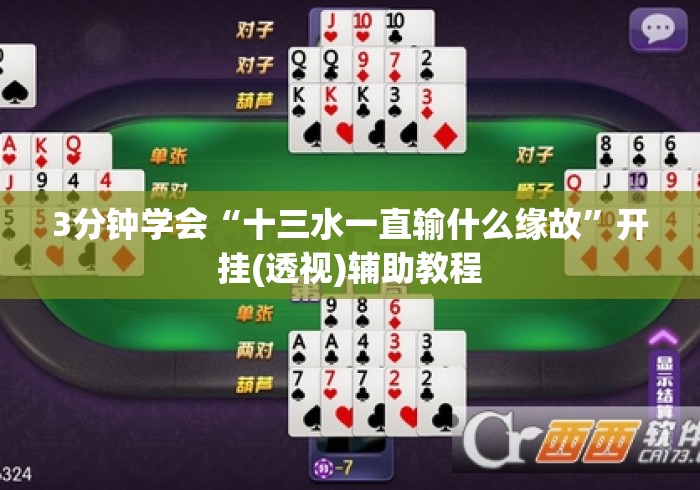 3分钟学会“十三水一直输什么缘故	”开挂(透视)辅助教程