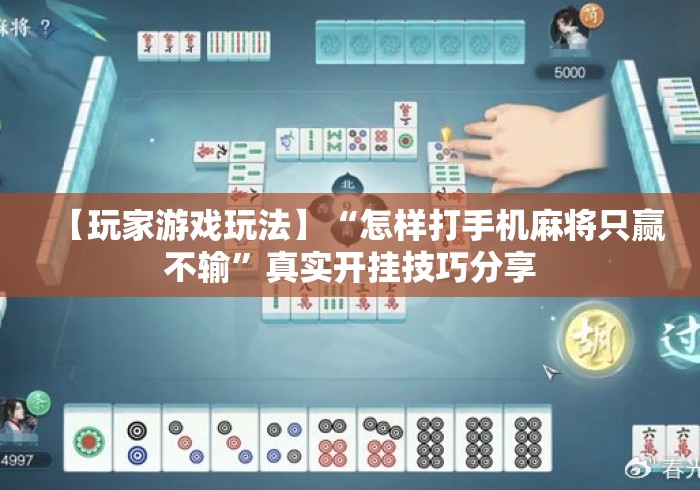 【玩家游戏玩法】“怎样打手机麻将只赢不输”真实开挂技巧分享