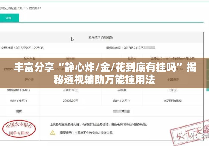 丰富分享“静心炸/金/花到底有挂吗	”揭秘透视辅助万能挂用法