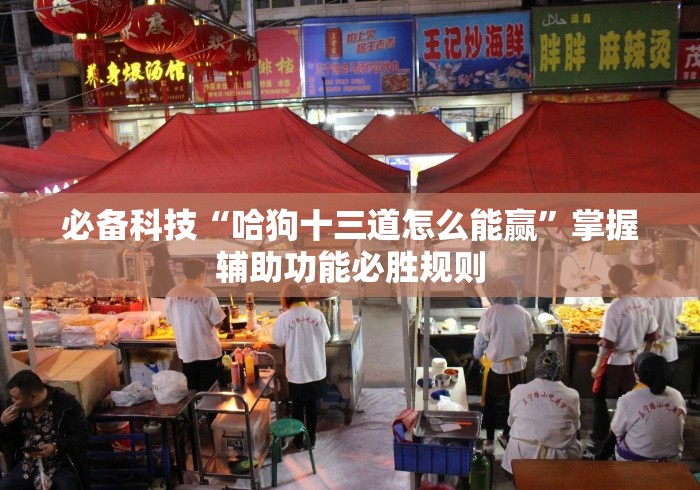 必备科技“哈狗十三道怎么能赢	”掌握辅助功能必胜规则