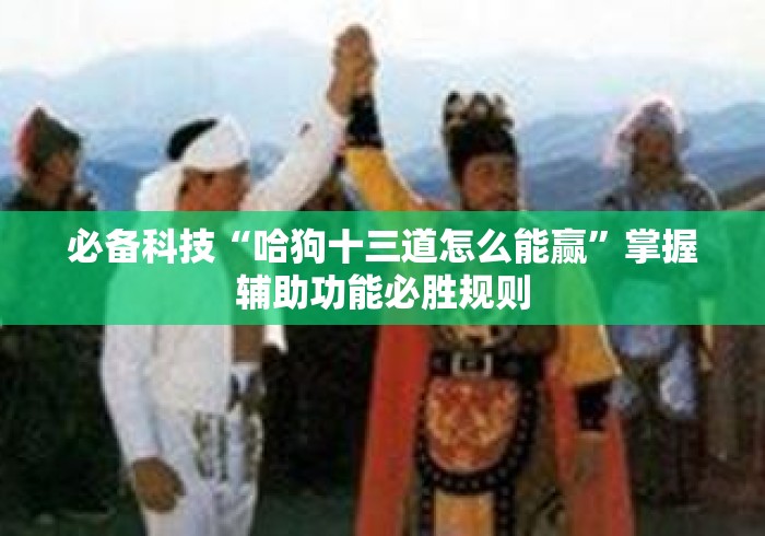 必备科技“哈狗十三道怎么能赢”掌握辅助功能必胜规则