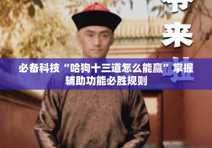 必备科技“哈狗十三道怎么能赢”掌握辅助功能必胜规则