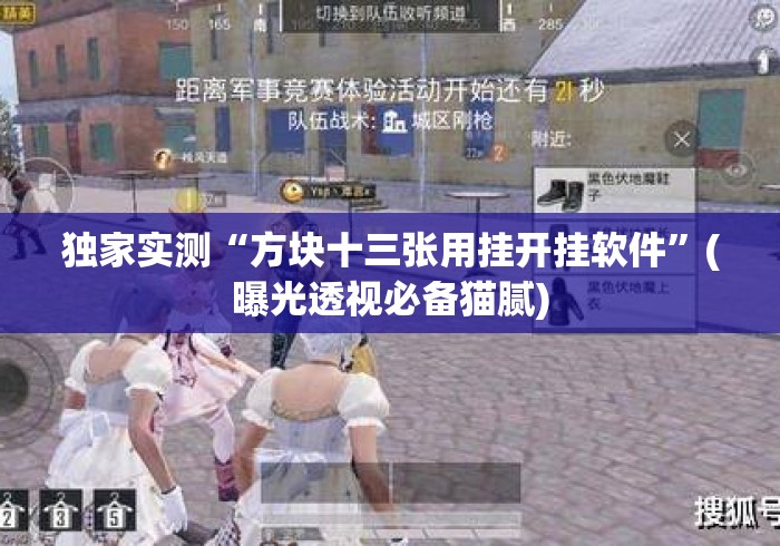 独家实测“方块十三张用挂开挂软件”(曝光透视必备猫腻)