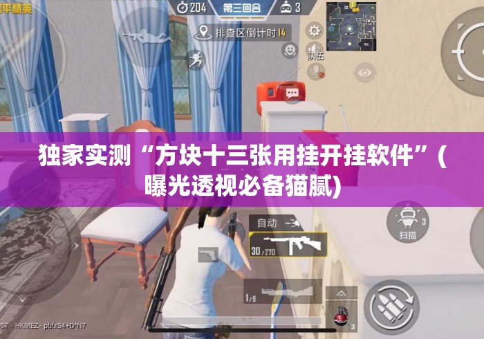 独家实测“方块十三张用挂开挂软件	”(曝光透视必备猫腻)