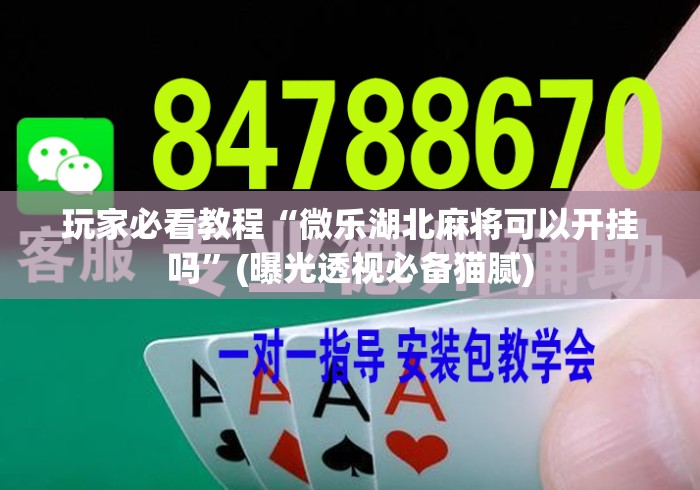 玩家必看教程“微乐湖北麻将可以开挂吗	”(曝光透视必备猫腻)