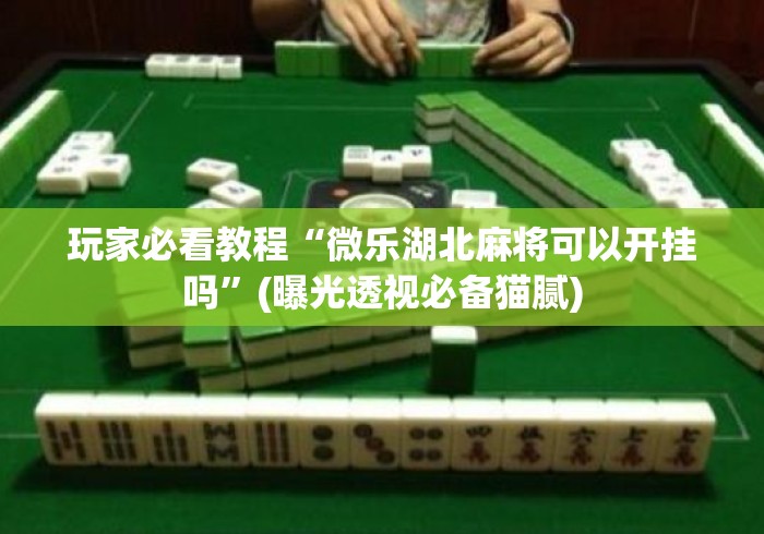 玩家必看教程“微乐湖北麻将可以开挂吗”(曝光透视必备猫腻)