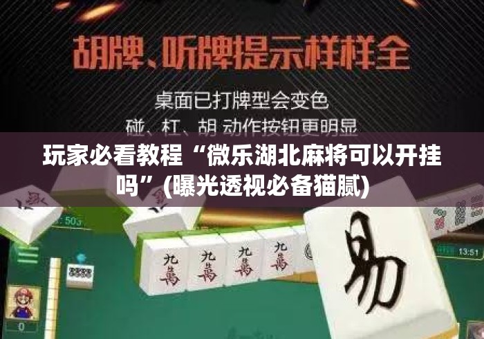 玩家必看教程“微乐湖北麻将可以开挂吗”(曝光透视必备猫腻)