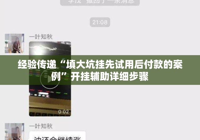 经验传递“填大坑挂先试用后付款的案例	”开挂辅助详细步骤
