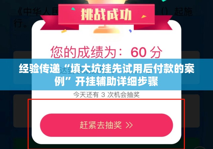 经验传递“填大坑挂先试用后付款的案例”开挂辅助详细步骤