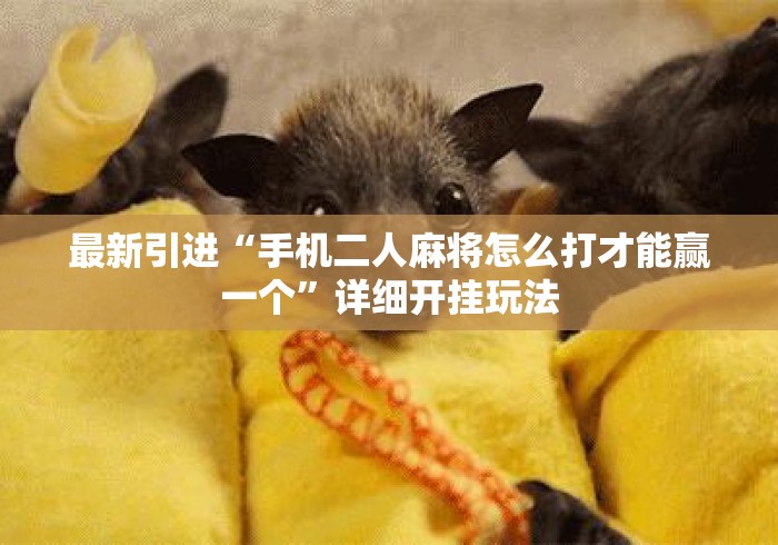 最新引进“手机二人麻将怎么打才能赢一个	”详细开挂玩法