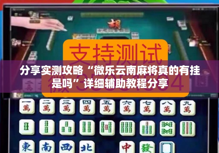 分享实测攻略“微乐云南麻将真的有挂是吗”详细辅助教程分享