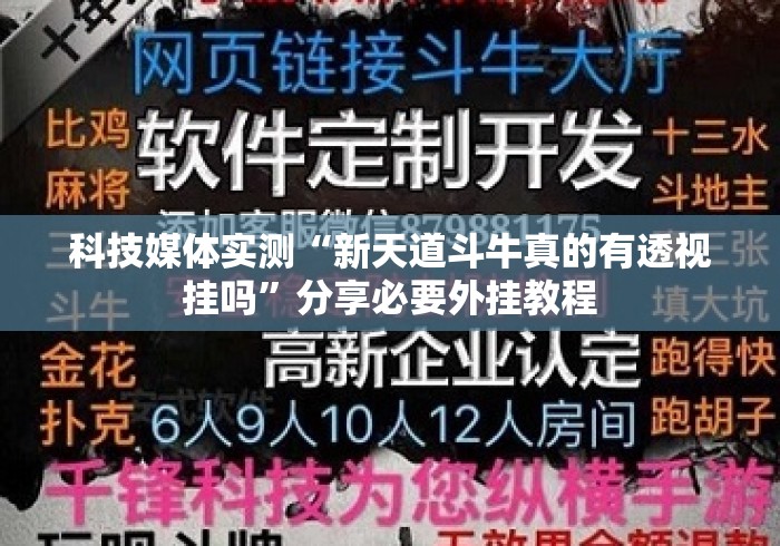 科技媒体实测“新天道斗牛真的有透视挂吗”分享必要外挂教程