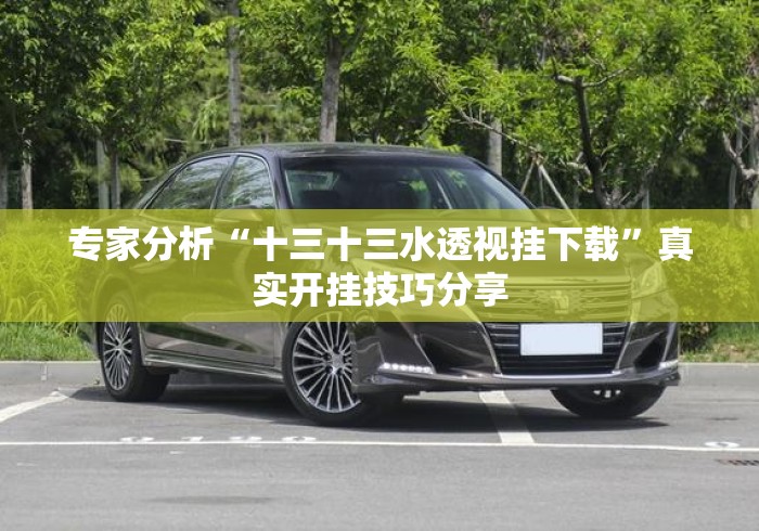 专家分析“十三十三水透视挂下载”真实开挂技巧分享