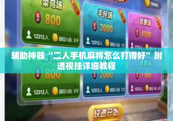 辅助神器“二人手机麻将怎么打得好	”附透视挂详细教程