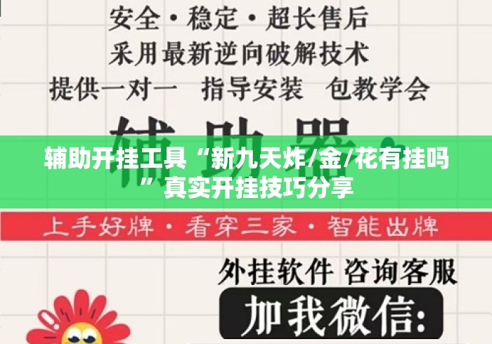 辅助开挂工具“新九天炸/金/花有挂吗”真实开挂技巧分享