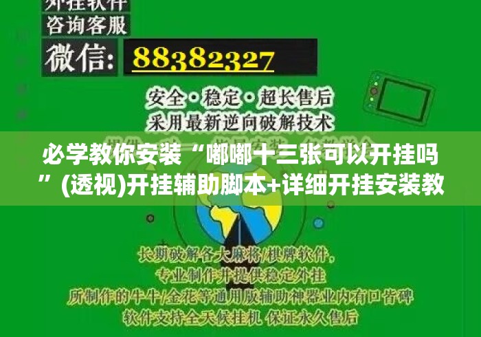 必学教你安装“嘟嘟十三张可以开挂吗”(透视)开挂辅助脚本+详细开挂安装教程