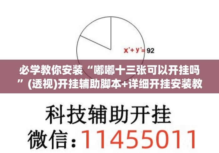 必学教你安装“嘟嘟十三张可以开挂吗	”(透视)开挂辅助脚本+详细开挂安装教程