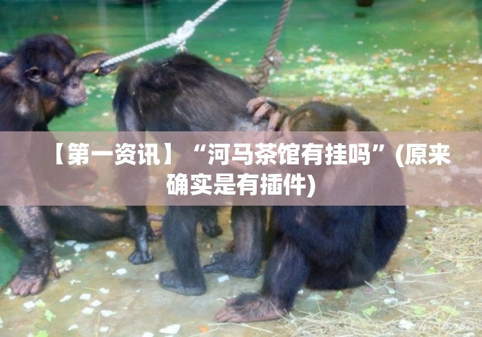 【第一资讯】“河马茶馆有挂吗”(原来确实是有插件)