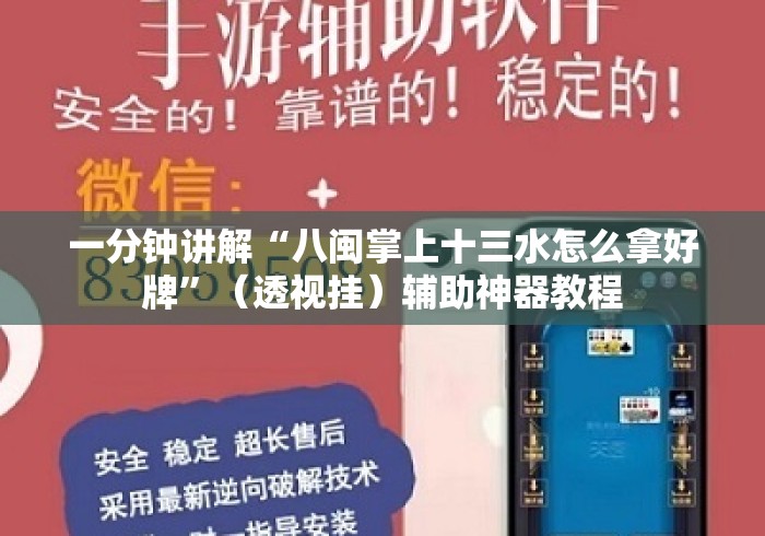 一分钟讲解“八闽掌上十三水怎么拿好牌”（透视挂）辅助神器教程