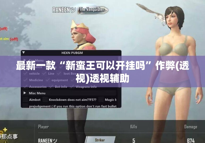 最新一款“新蛮王可以开挂吗	”作弊(透视)透视辅助