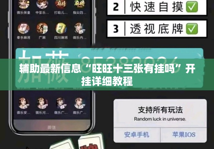 辅助最新信息“旺旺十三张有挂吗”开挂详细教程