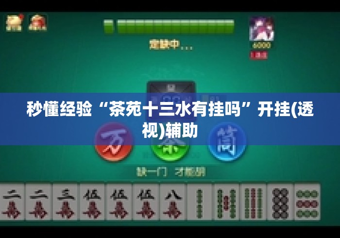 秒懂经验“茶苑十三水有挂吗”开挂(透视)辅助
