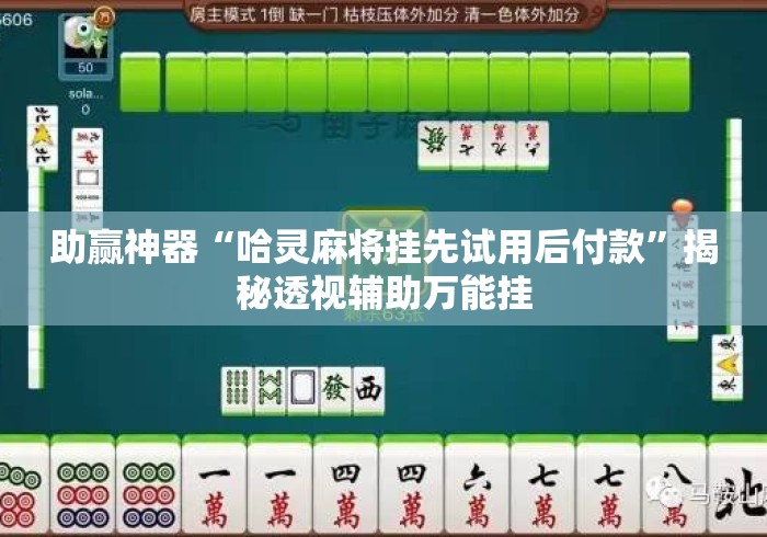 助赢神器“哈灵麻将挂先试用后付款”揭秘透视辅助万能挂
