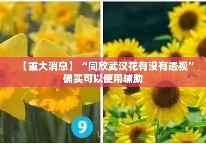 【重大消息】“同欣武汉花有没有透视	”确实可以使用辅助