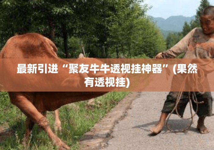 最新引进“聚友牛牛透视挂神器	”(果然有透视挂)