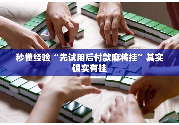 秒懂经验“先试用后付款麻将挂	”其实确实有挂