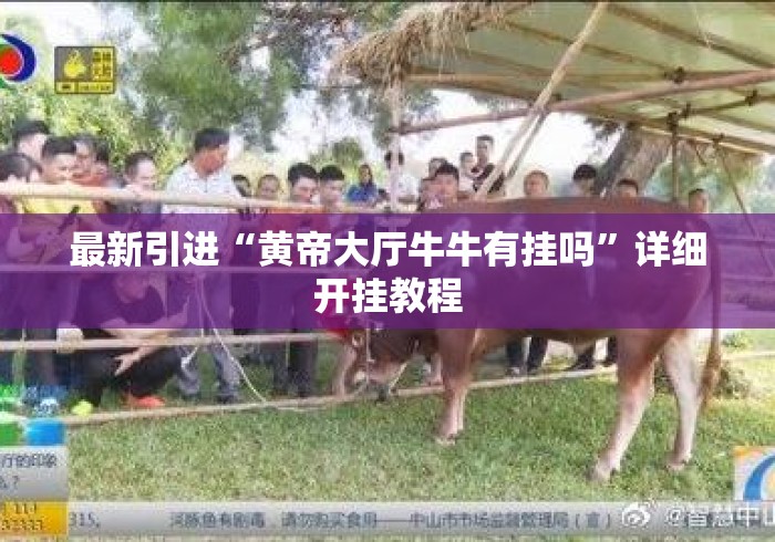 最新引进“黄帝大厅牛牛有挂吗”详细开挂教程