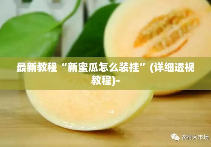 最新教程“新蜜瓜怎么装挂”(详细透视教程)-