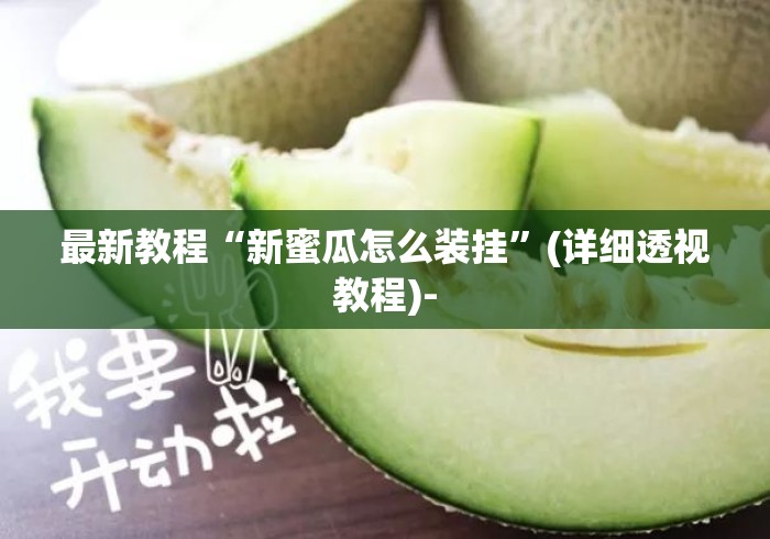最新教程“新蜜瓜怎么装挂”(详细透视教程)-