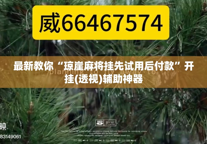 最新教你“琼崖麻将挂先试用后付款”开挂(透视)辅助神器