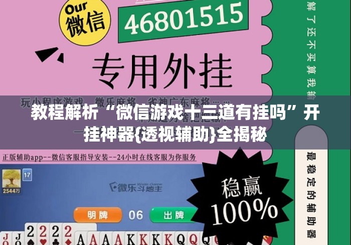 教程解析“微信游戏十三道有挂吗”开挂神器{透视辅助}全揭秘