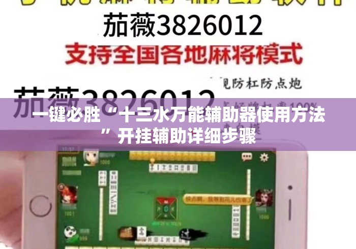一键必胜“十三水万能辅助器使用方法”开挂辅助详细步骤
