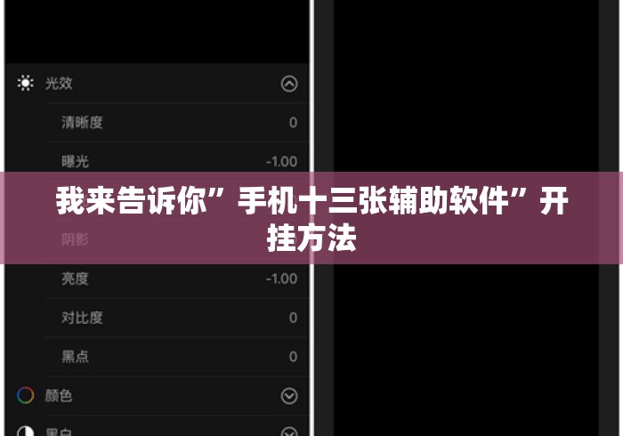 我来告诉你”手机十三张辅助软件”开挂方法