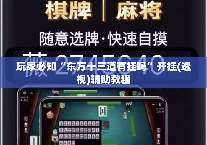 玩家必知“东方十三道有挂吗”开挂(透视)辅助教程