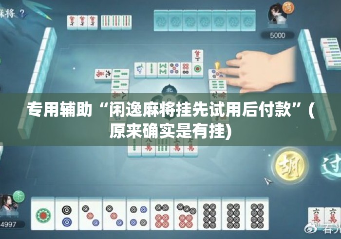 专用辅助“闲逸麻将挂先试用后付款	”(原来确实是有挂)