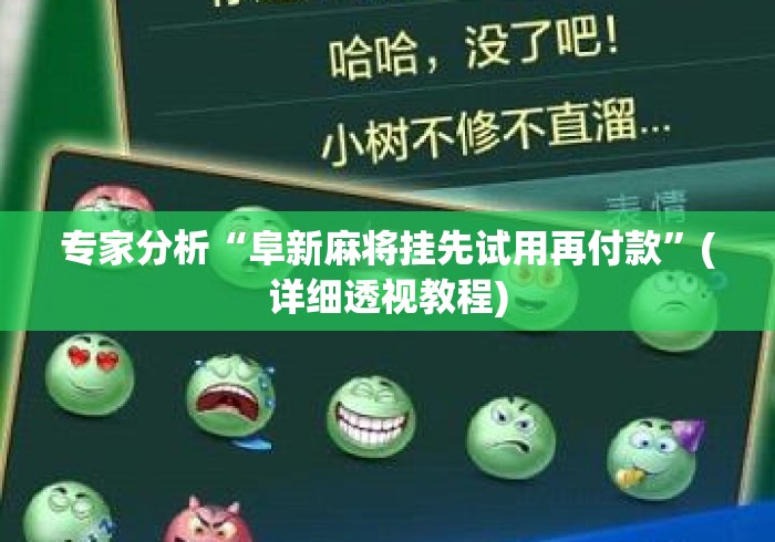 专家分析“阜新麻将挂先试用再付款”(详细透视教程)