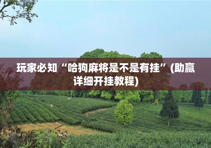 玩家必知“哈狗麻将是不是有挂”(助赢详细开挂教程)