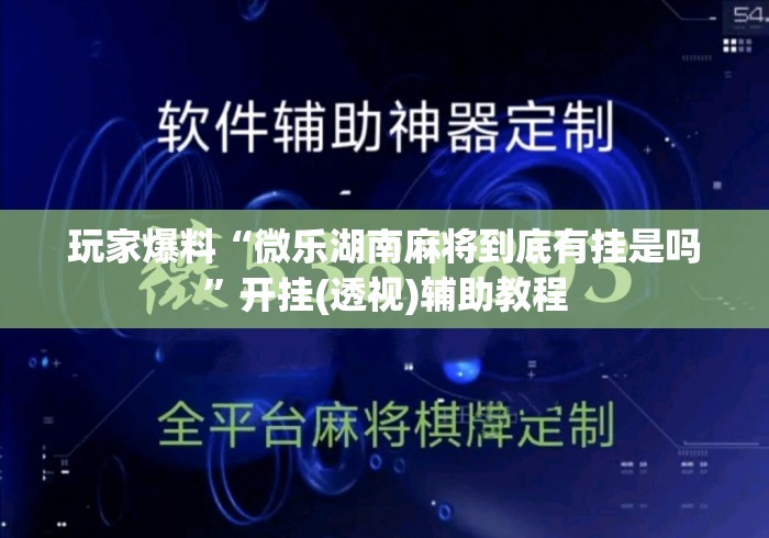 玩家爆料“微乐湖南麻将到底有挂是吗”开挂(透视)辅助教程