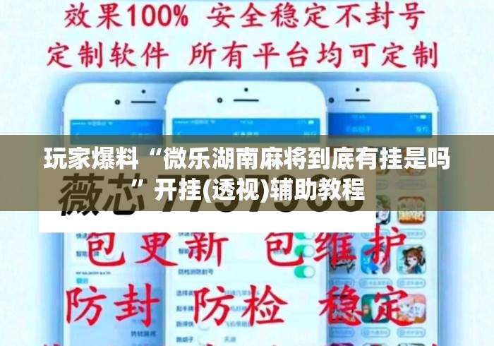 玩家爆料“微乐湖南麻将到底有挂是吗”开挂(透视)辅助教程