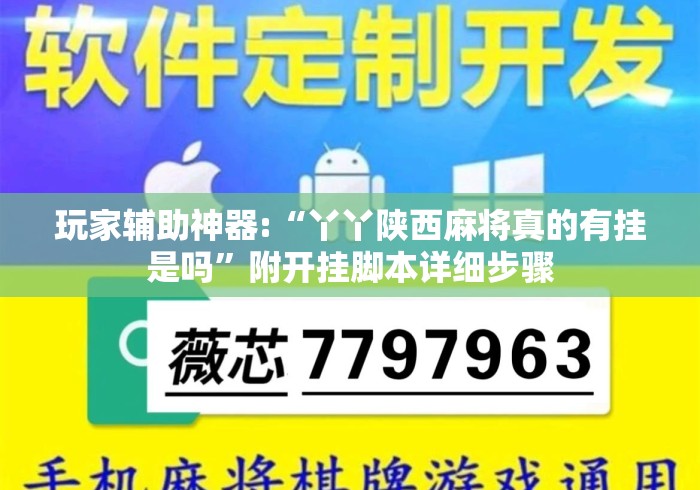 玩家辅助神器:“丫丫陕西麻将真的有挂是吗”附开挂脚本详细步骤